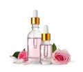 Bottles of essential oil and roses on white Royalty Free Stock Photo