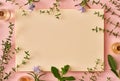 Bottles of essential oil with thyme, peppermint, sage and blooming rosemary on pink background with copy space, top view