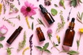 Bottles of essential oils, different herbs and flowers on pink background, flat lay Royalty Free Stock Photo