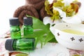 Bottles of essential oils Royalty Free Stock Photo