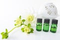 Bottles of essential oils Royalty Free Stock Photo
