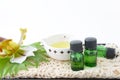 Bottles of essential oils Royalty Free Stock Photo