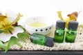 Bottles of essential oils Royalty Free Stock Photo
