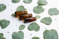 Bottles of eucalyptus essential oil and leaves on white background Royalty Free Stock Photo