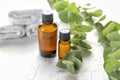 Bottles of eucalyptus essential oil on white background Royalty Free Stock Photo