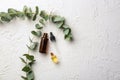 Bottles of eucalyptus essential oil on white background Royalty Free Stock Photo