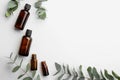Bottles of eucalyptus essential oil on white background Royalty Free Stock Photo