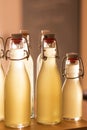 Bottles filled with elderflower syrup