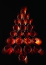 bottles in form of a christmas tree Royalty Free Stock Photo