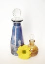 bottles glass colored flower yellow chrysanthemum white background Royalty Free Stock Photo