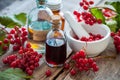 Bottles of Guelder rose tincture and mortar of berries