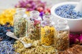 Bottles of healing herbs and mortar with dry lavender flowers Royalty Free Stock Photo