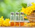 Bottles of healing plants treatment and healthy herbs