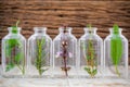 Bottles of herb thyme ,basil flower ,rosemary ,parsley and sage Royalty Free Stock Photo