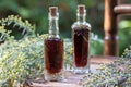 Bottles of herbal tincture with blooming wormwood plant