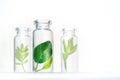 Bottles with herbs, natural essential oil, organic cosmetics on white background