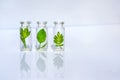 Bottles with herbs, natural essential oil, organic cosmetics on white background