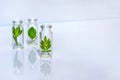Bottles with herbs, natural essential oil, organic cosmetics on white background Royalty Free Stock Photo