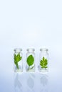 Bottles with herbs, natural essential oil, organic cosmetics on white background