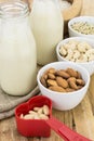 Bottles of homemade plant based milk and bowls with ingredients