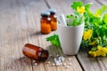 Bottles of homeomathic globules, Chelidonium majus plants and mortar of tetterwort Royalty Free Stock Photo