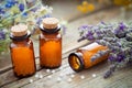 Bottles of homeopathic globules and healing herbs Royalty Free Stock Photo