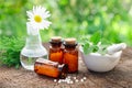 Bottles of homeopathic globules, mortar and daisy flower in flask.