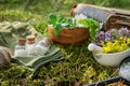 Bottles of homeopathic globules, mortars of medicinal herbs, old book and magnifying glass on a moss in forest.