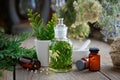 Bottles of homeopathic globules, Thuja infusion, Thuja occidentalis plant and mortar. Homeopathy. Royalty Free Stock Photo