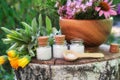 Bottles of homeopathic globules, wooden mortar of medicinal herbs, healing plants on stump outdoors Royalty Free Stock Photo