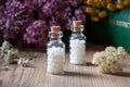 Bottles of homeopathic pills with dried herbs Royalty Free Stock Photo