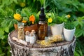 Bottles of homeopathy granules. Dropper bottle of tincture or oil. Homeopathic and naturopathic remedies. Calendula  flowers Royalty Free Stock Photo