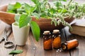 Bottles of homeopathy granules. Homeopathic remedies. Mentha piperita remedy. Mint plants. Homeopathy
