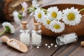 Bottles of homeopathy granules. Homeopathic remedy - Chamomilla. Daisies flowers in wooden bowl. Homeopathy medicine