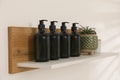 Bottles of hygiene products and houseplant on shelf in bathroom Royalty Free Stock Photo