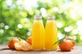 Bottles of mandarin juice with fresh fruits