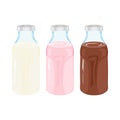 Bottles with milk, strawberry milk and chocolate milk. Vector illustration in cartoon style. Isolated. white background.