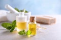 Bottles with mint essential oil Royalty Free Stock Photo