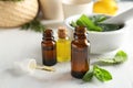 Bottles with mint essential oil Royalty Free Stock Photo