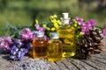 Bottles with natural aroma oil over nature background.