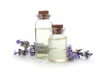 Bottles with natural lavender oil and flowers on white