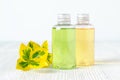 Bottles of natural shower gel and shampoo with plants Royalty Free Stock Photo