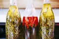 Bottles of olive oil flavored with herbs and chili Royalty Free Stock Photo