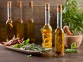 Bottles olive oil with various herbs and spices. Royalty Free Stock Photo