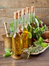 Bottles olive oil with various herbs and spices. Royalty Free Stock Photo