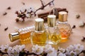 Bottles of perfume with ingredients Royalty Free Stock Photo