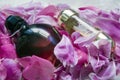 Bottles of perfume in the petals Royalty Free Stock Photo