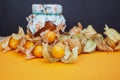 Bottles with physalis jam  and fresh  fruit  on orange Royalty Free Stock Photo