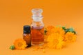 Bottles of pot marigold tincture or infusion and essential oil with fresh Calendula flowers on an orange background. Natural Royalty Free Stock Photo