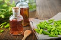 Bottles of potion, syrup or honey from fir buds and needles, twigs of fir tree on table. Royalty Free Stock Photo